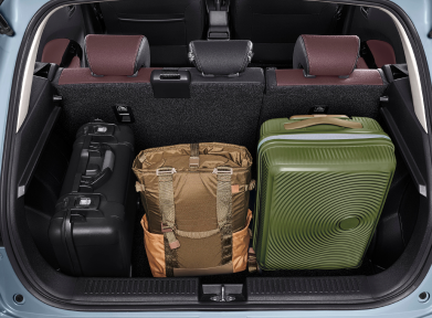 spaciousbaggage_1748338217673