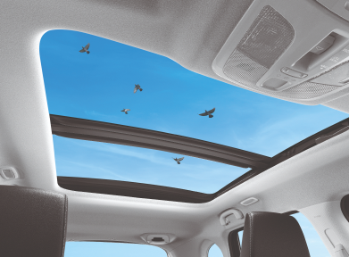 sunroof_1763641153875